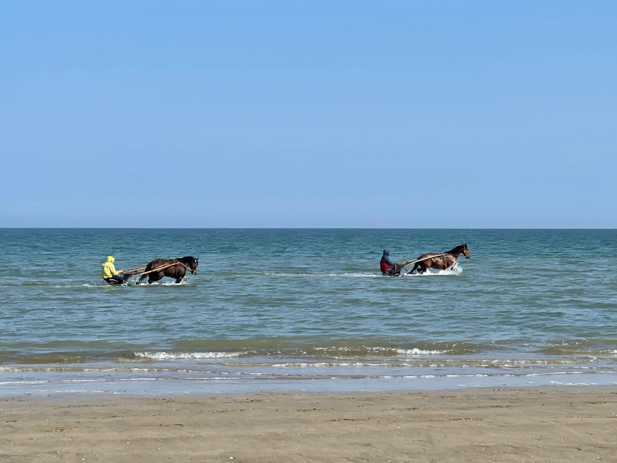 Pressoir De La Mare Superhote 12 Minutes De Cabourg Goustranville Exteriör bild